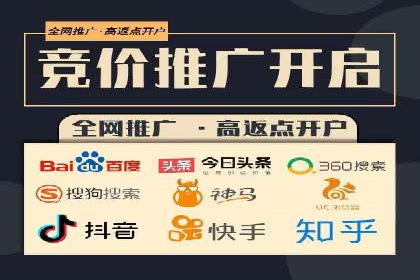 百度推广实战：案例分享与数据解读